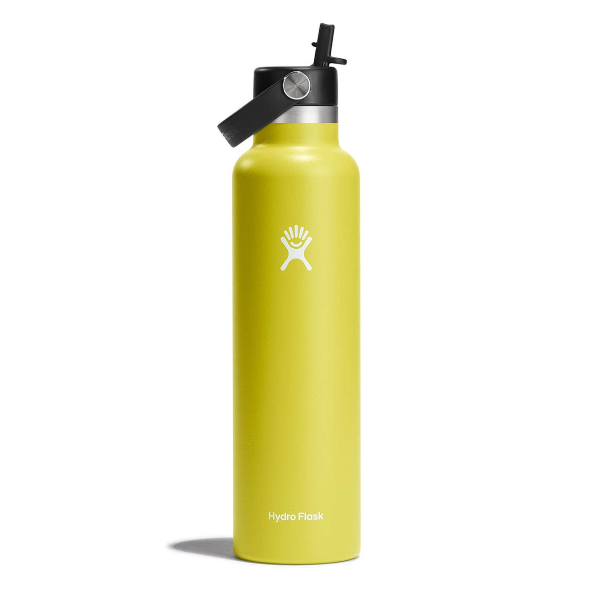 Hydro Flask Standard Flex Straw Cap 24 OZ - Cactus
