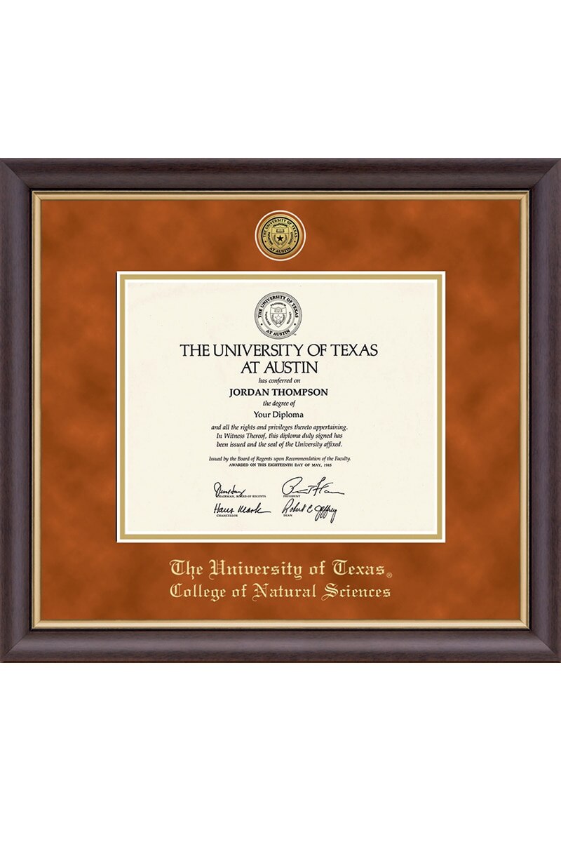 University of Texas College Name Diploma Frame
